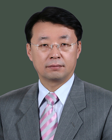 조용석   교수(석좌교수)